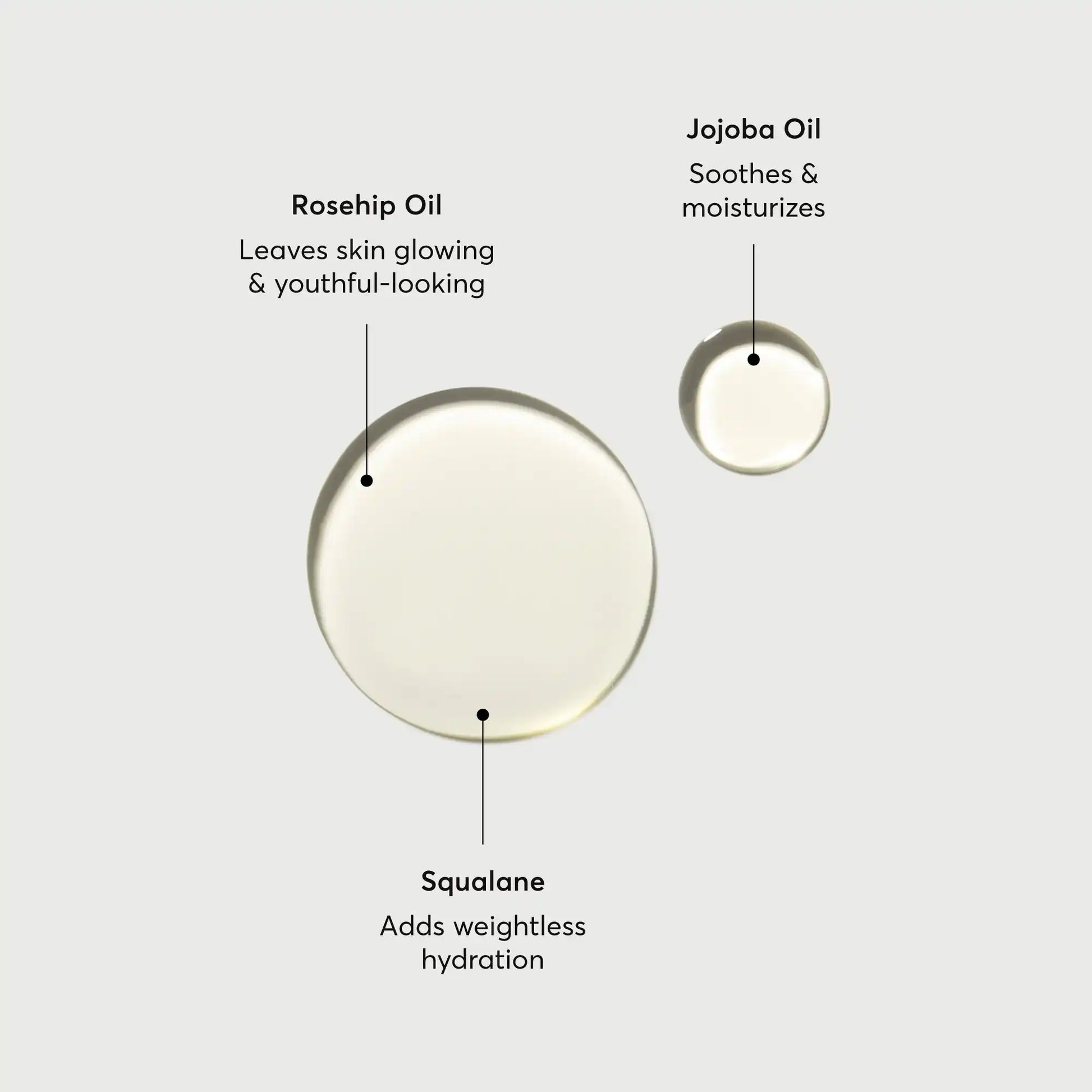 the-glow-getter-body-oil-q3 NATR-10115-Alt-Images-The-Glow-Getter-Body-Oil-01.webp