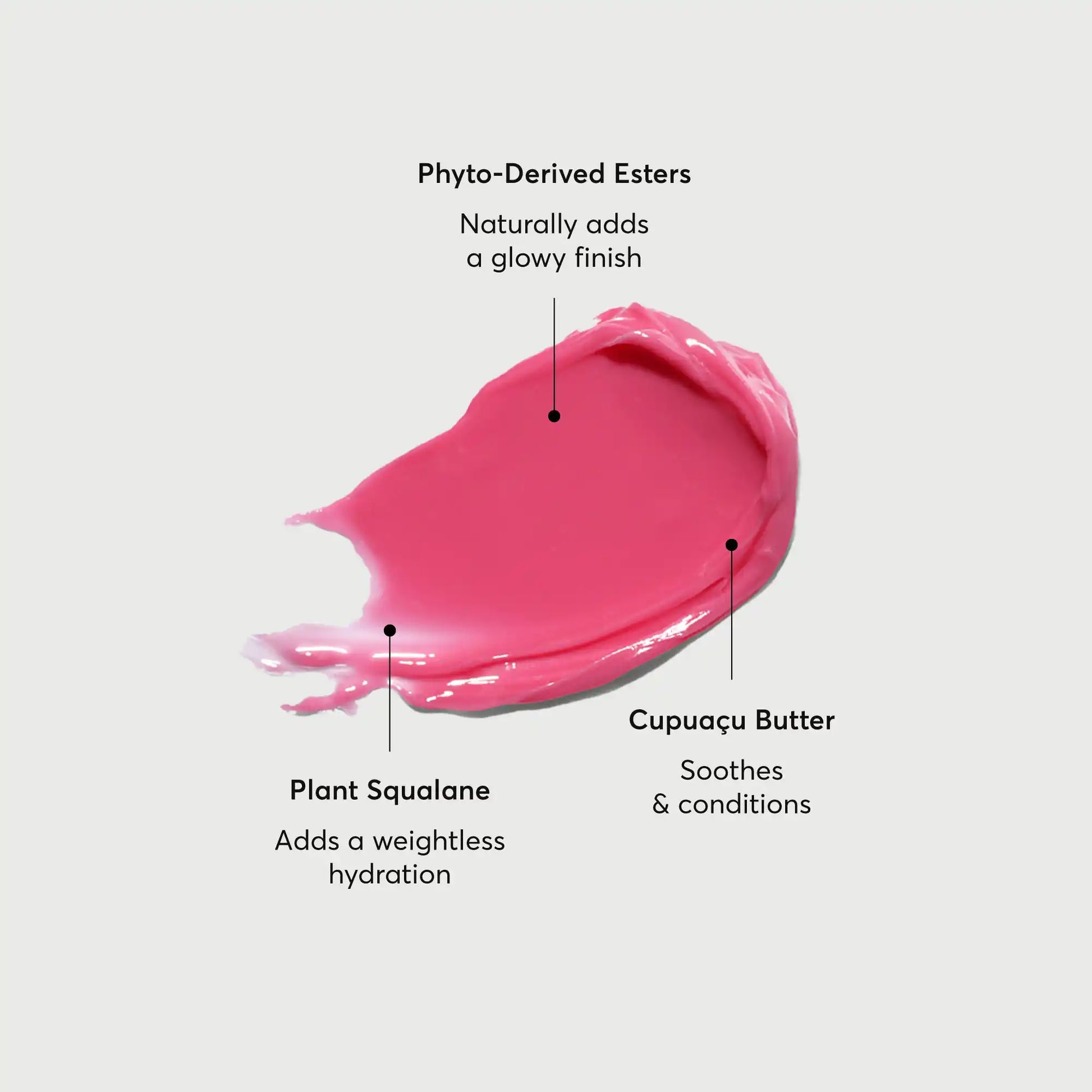 phyto-glow-lip-balm-camellia-z4 NATR-60075-Alt-Images-Phyto-Glow-Lip-Balm-Camellia-01.webp